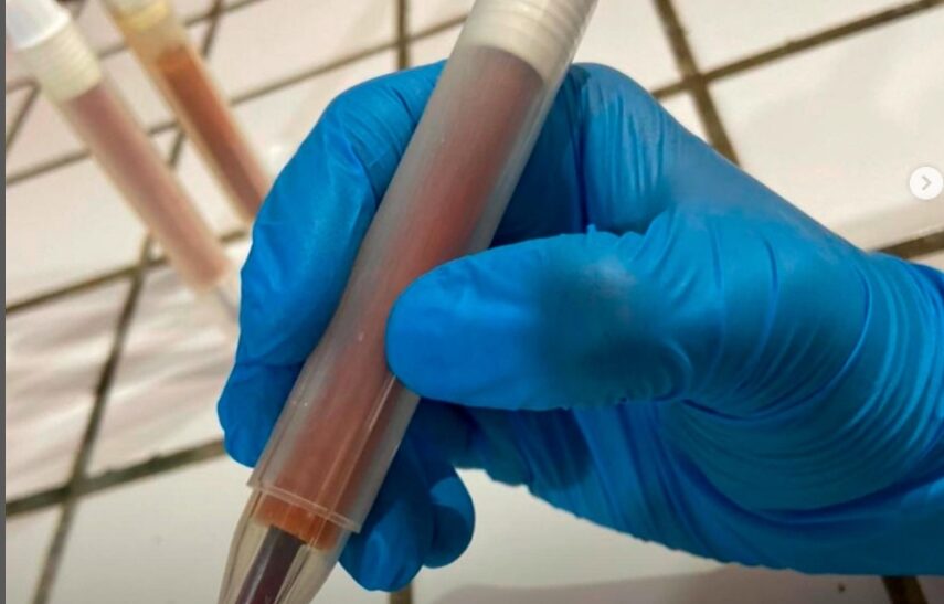 Estudantes do Ceará criam caneta que detecta drogas em bebidas para prevenir “Boa noite cinderela”
