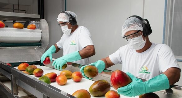Gestores de 400 agroindústrias familiares se reúnem em Feira de Santana para fortalecer o setor