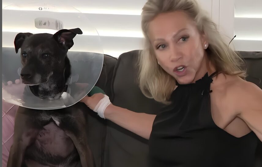 Mulher abre mandíbula de jacaré para salvar sua cachorrinha: “Ela é meu bebê”
