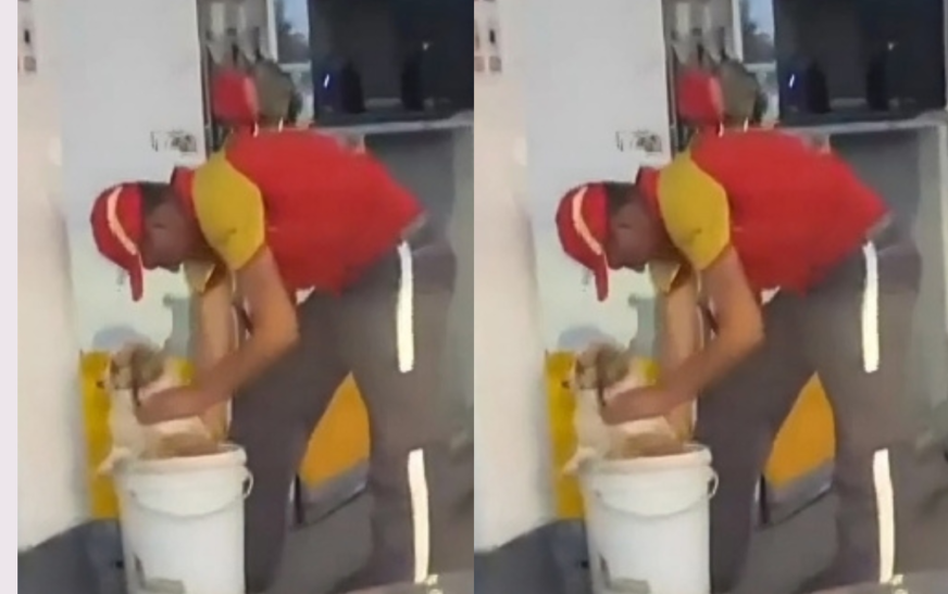 Funcionário de posto de gasolina demostra empatia ao dar banho em cachorro de rua