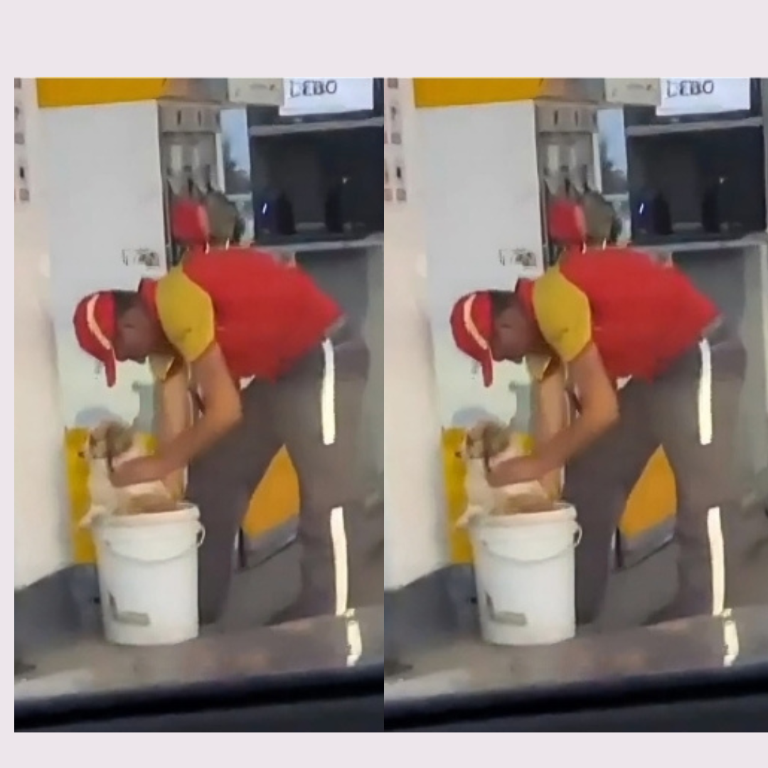 Funcionário de posto de gasolina demostra empatia ao dar banho em cachorro de rua