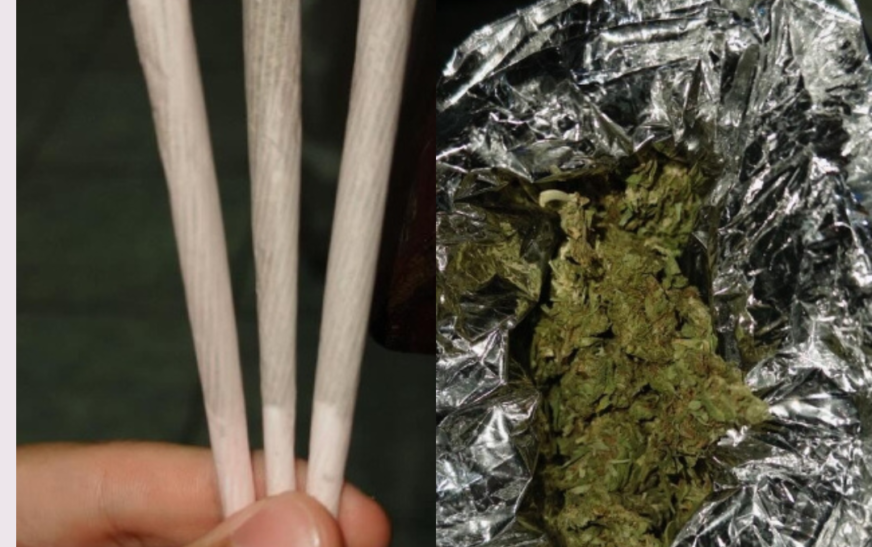 ESTUDO ALERTA: Uso de Maconh* Pode Dobrar Risco de Mort* por Doenças Cardíacas, Infarto e AVC