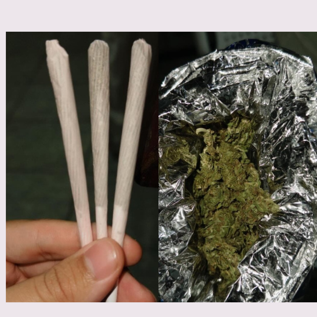 ESTUDO ALERTA: Uso de Maconh* Pode Dobrar Risco de Mort* por Doenças Cardíacas, Infarto e AVC