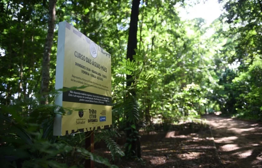 Salvador está entre as cidades com melhor qualidade ambiental da Bahia e acima da média nacional