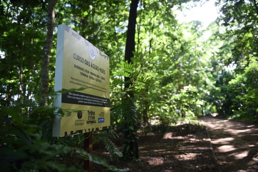 Salvador está entre as cidades com melhor qualidade ambiental da Bahia e acima da média nacional