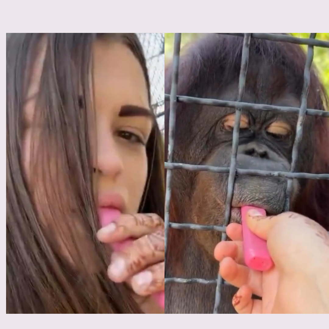 Lutadora Russa Anastasia Luchkina Choca a Internet ao Dar Vape a Orangotango em Vídeo Polêmico