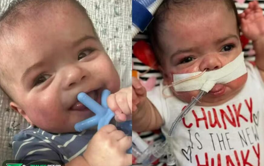 Milagre da Vida: Bebê Prematuro Recebe Alta Após 400 Dias no Hospital