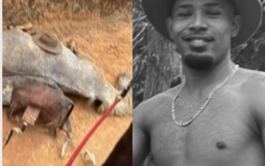 Caso de cavalo mutilado gera revolta: facções criminosas procuram suspeito para “tribunal do crime”